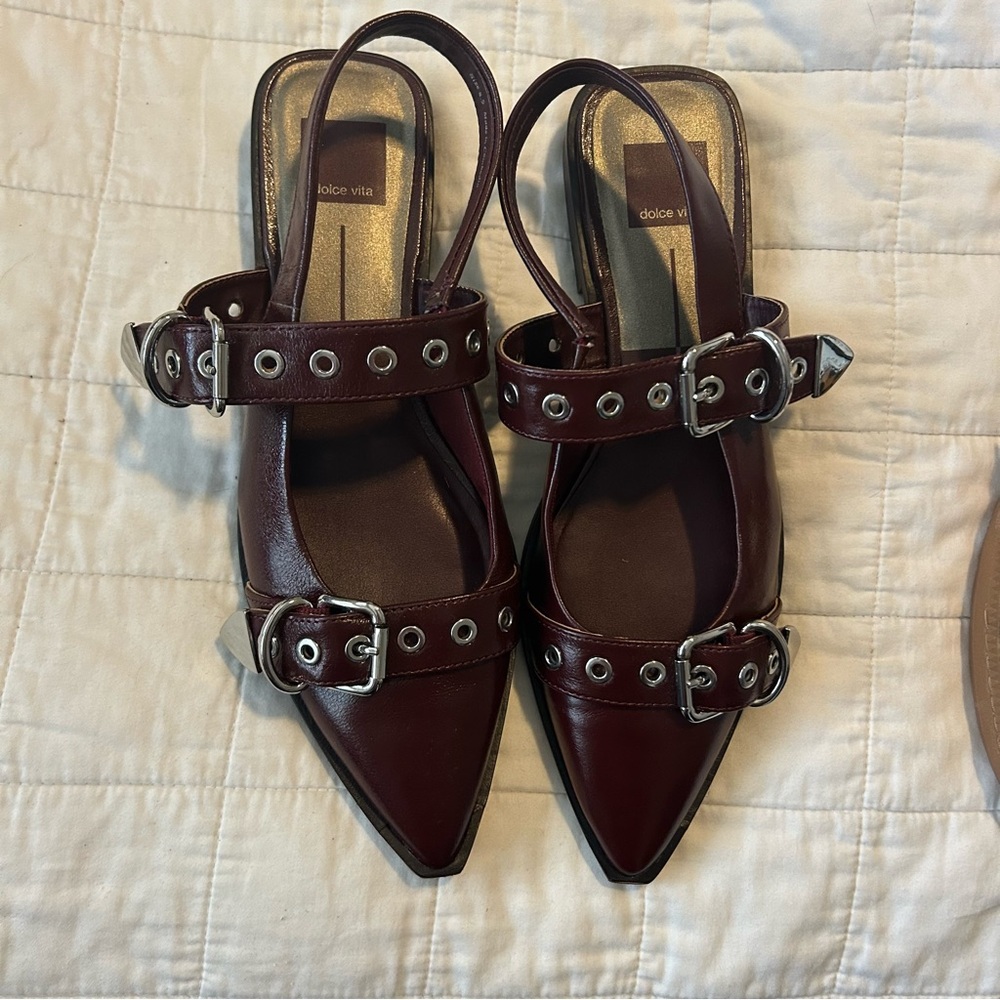 Dolce Vita Labell Flat in Burgundy